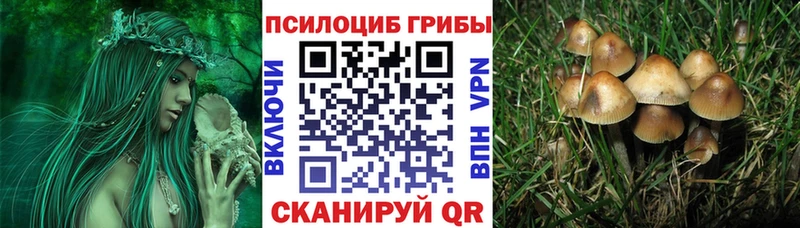 Купить где  Сургут  Галлюциногенные грибы MAGIC MUSHROOMS 